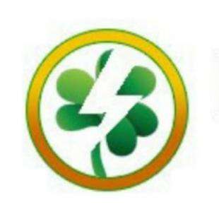 Emerald Isle Electric LLC Logo