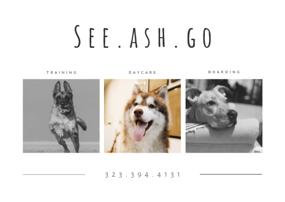 See Ash Go LLC Logo