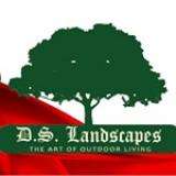 DS Landscape Logo