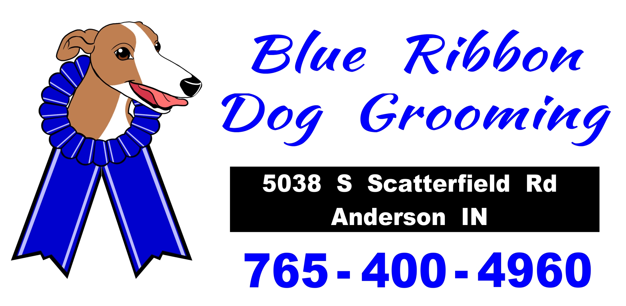 blue dog grooming