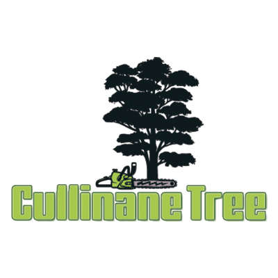 Cullinane Tree  Logo