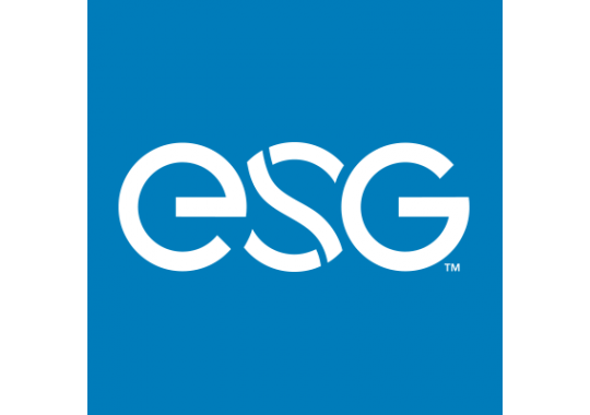 Energy Systems Group Logo
