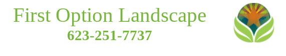 First Option Landscape Logo