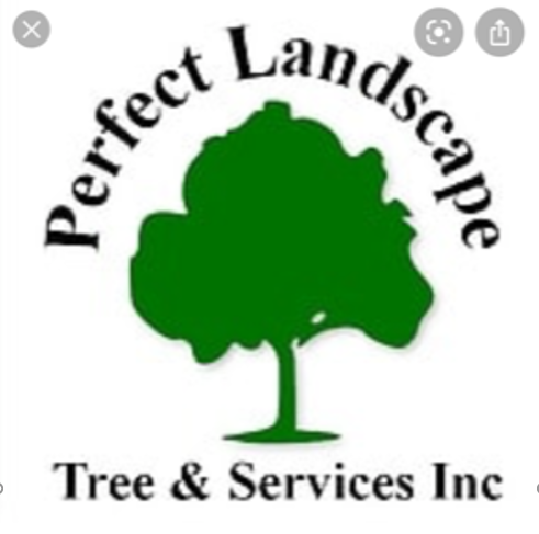Perfect Landscape Tree & Services, Inc. Logo