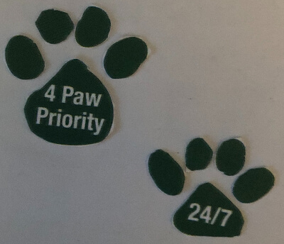 Tailsaway Pet Sitting and Dog Walking Logo