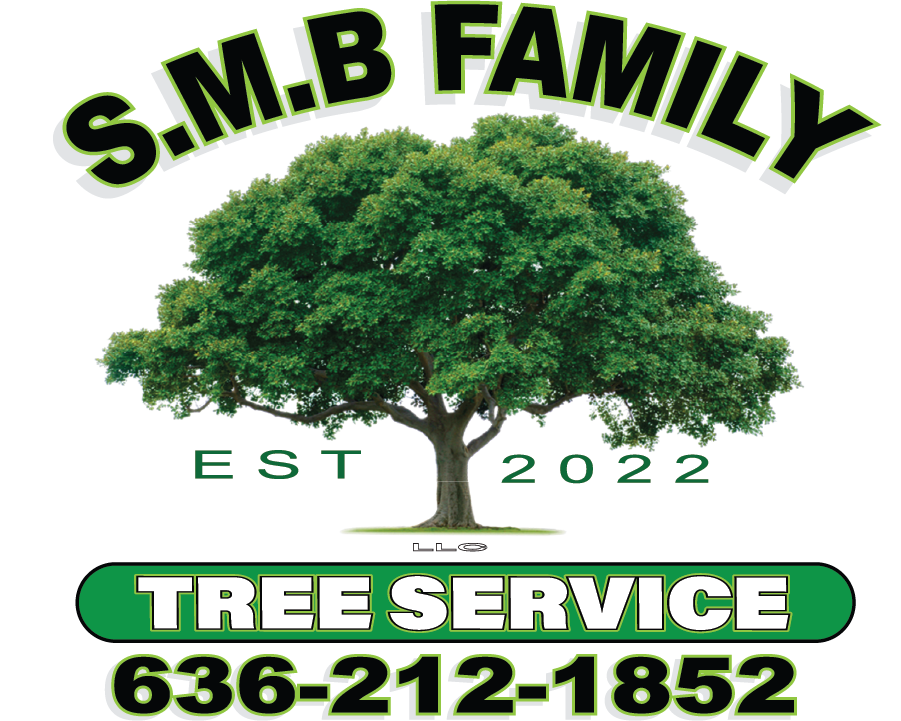 S.M.B. Family Tree Service Logo