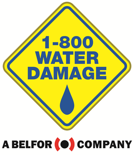 1-800 Water Damage of Fairfield County Logo