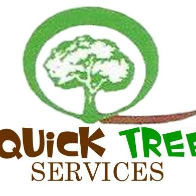 Quick Tree Services Better Business, Orta Landscaping And Tree Removal