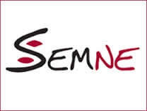 SEMNE Digital Marketing Association Logo