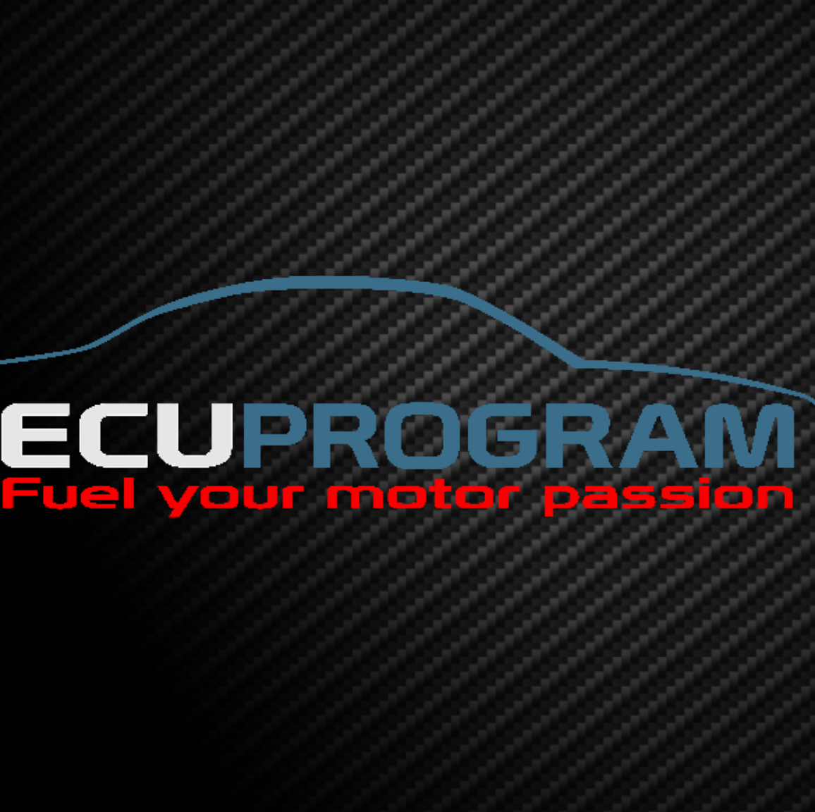 ECUProgram Inc. Logo