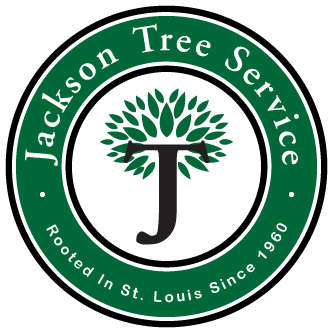 Jackson Tree Service Logo
