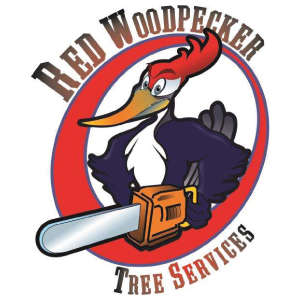 Red Woodpecker Tree Services Logo