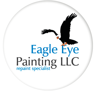 Eagle Eye Painting  Logo