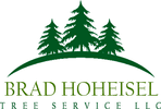 Brad Hoheisel Tree Service, LLC Logo