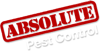 Absolute Pest Control Inc. Logo