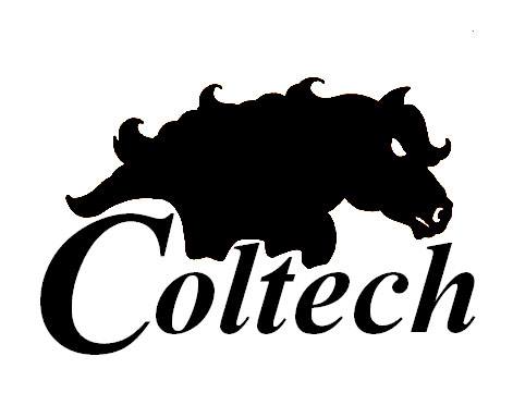 Coltech Electrical Services LLC Logo