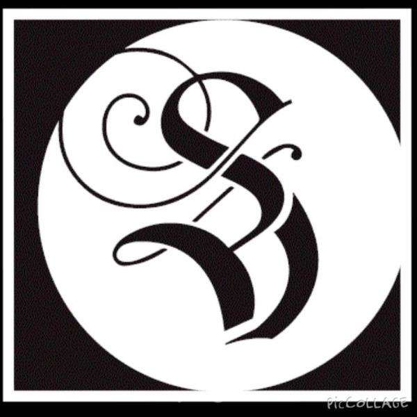 Salon VivEsta, Inc. Logo