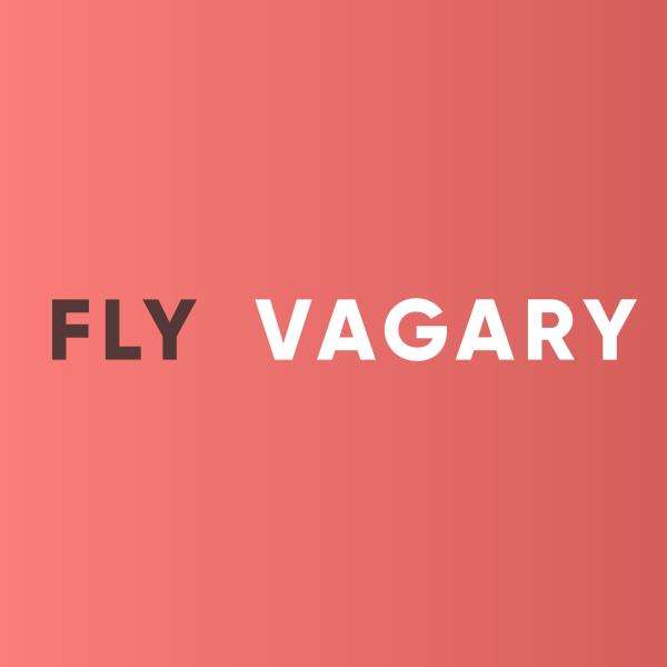 Fly Business Logo