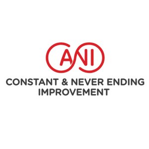 Constant And Never Ending Improvement LLC Logo