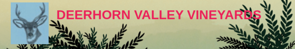 Deerhorn Valley Vineyards Logo