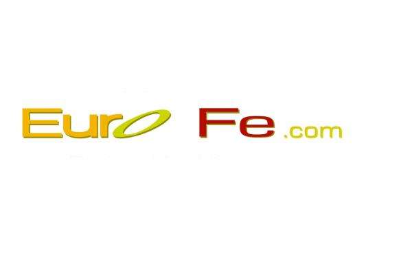 Euro Fe Remodeling and Design Logo