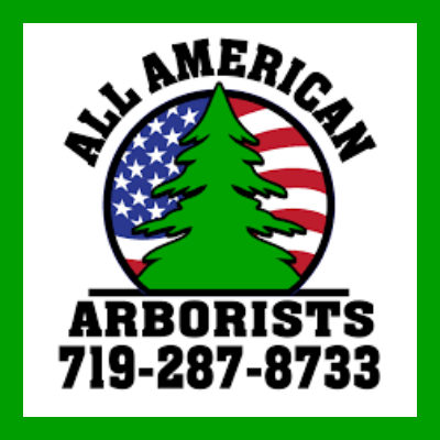 All American Arborists Inc Better, All American Landscaping Colorado Springs