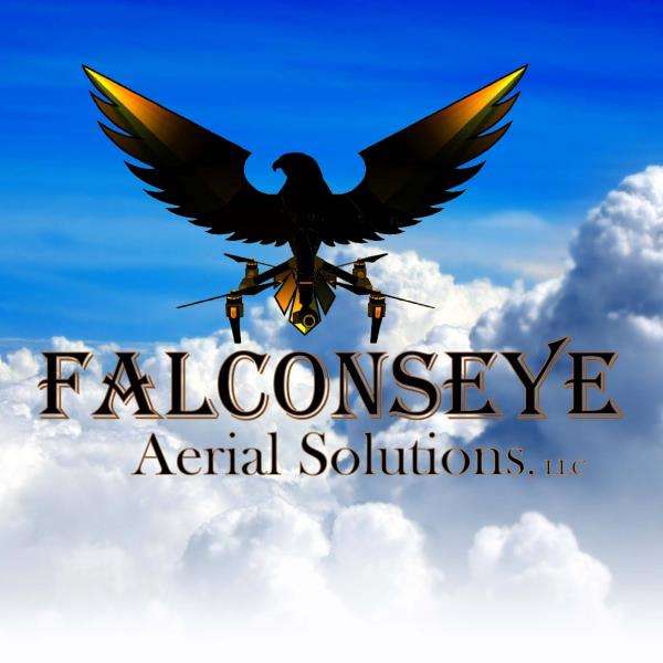 Falconseye Aerial Solutions, LLC Logo