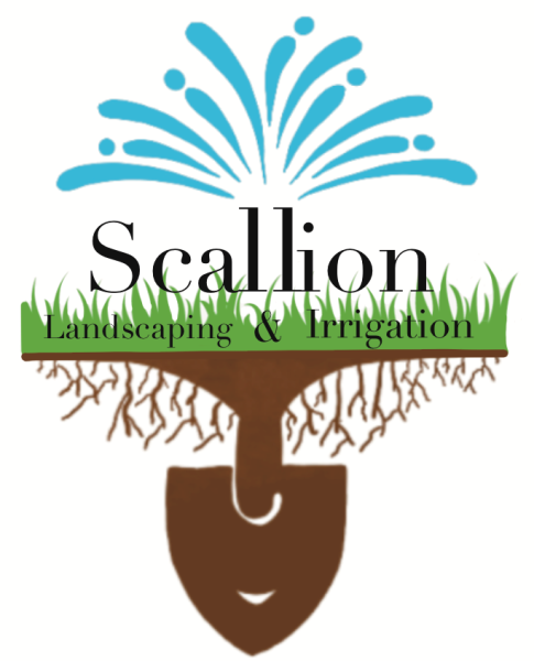 Scallion Landscaping Logo
