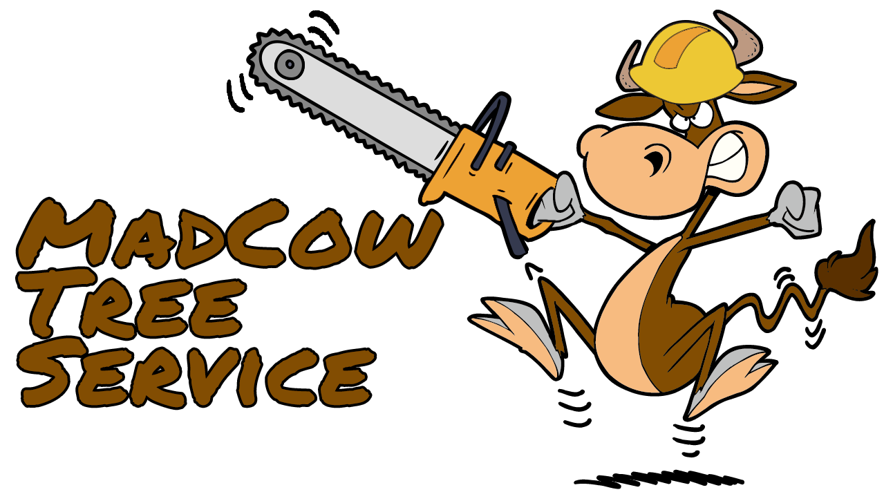 MadCow Outdoor Service Logo