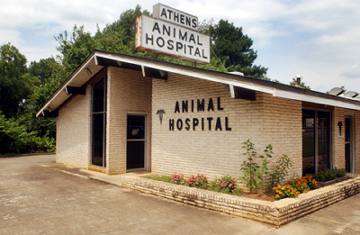 Athens Animal Hospital Logo