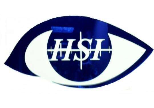 HSI Security Logo