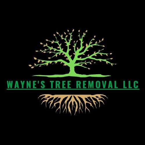 Wayne's Tree Removal LLC Logo