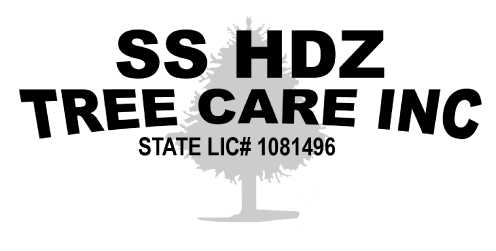 SS HDZ Tree Care Inc Logo