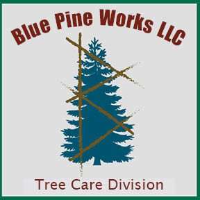 Blue Pine Works LLC Logo