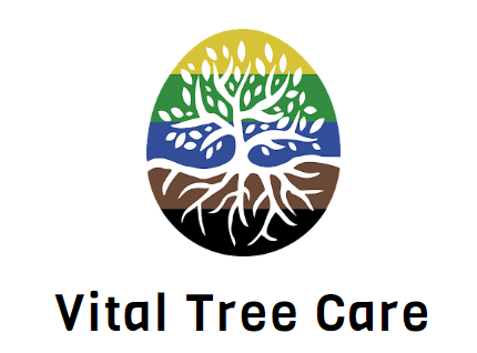 Vital Tree Care Logo