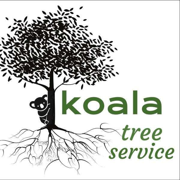 Koala Tree Service LLC Logo