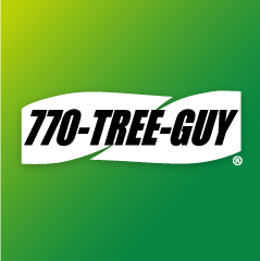 770-tree-guy Logo