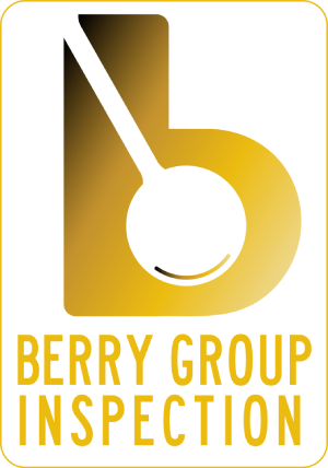 Berry Group Inspection LLC Logo