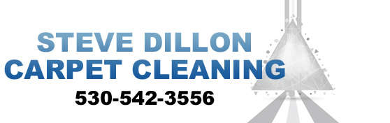 Steve Dillon Carpet Cleaning Logo