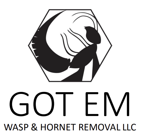 Got'em Wasp and Hornet Removal LLC Logo