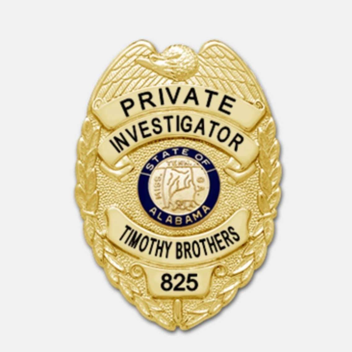 Eagle Eye Investigations Agency LLC Logo