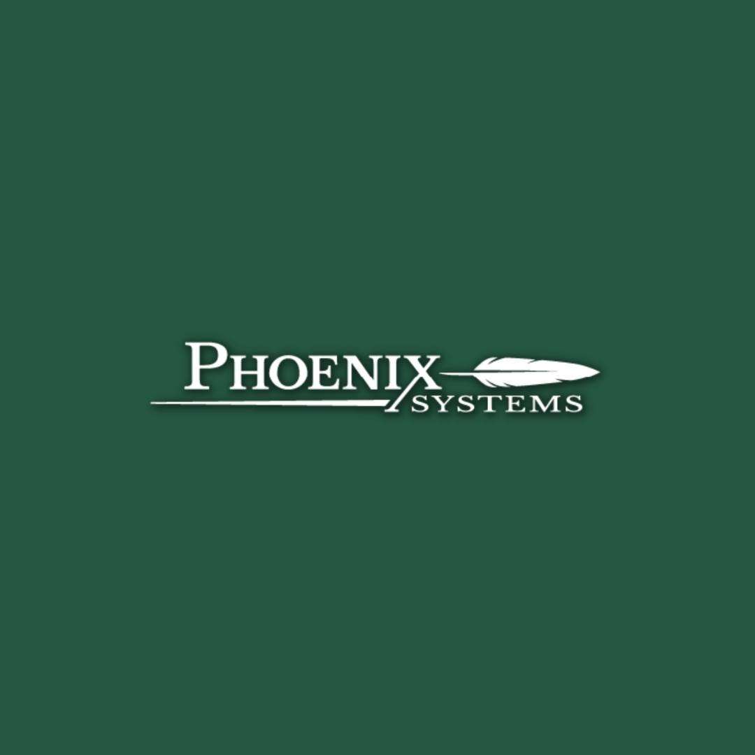 Pin of Georgia, LLC, dba Phoenix Systems Logo