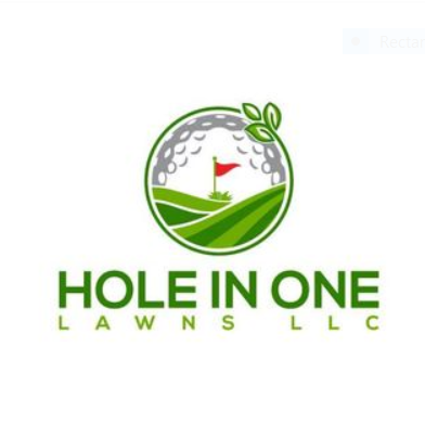 Hole in One Lawns LLC Logo