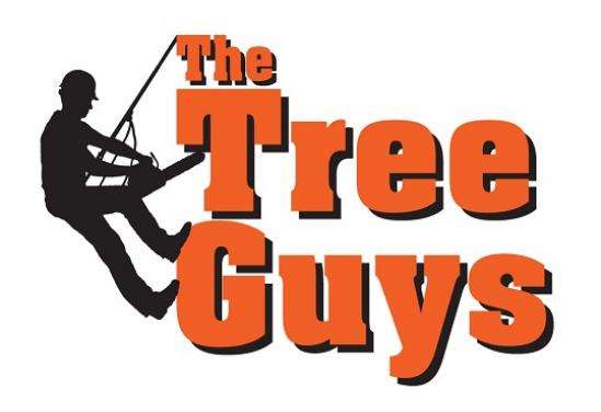 The Tree Guys, LLC Logo