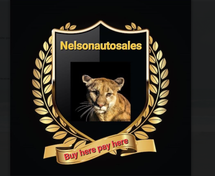 Nelson Auto Sales Logo
