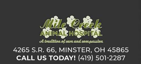 Mile Creek Animal Hospital LLC Logo