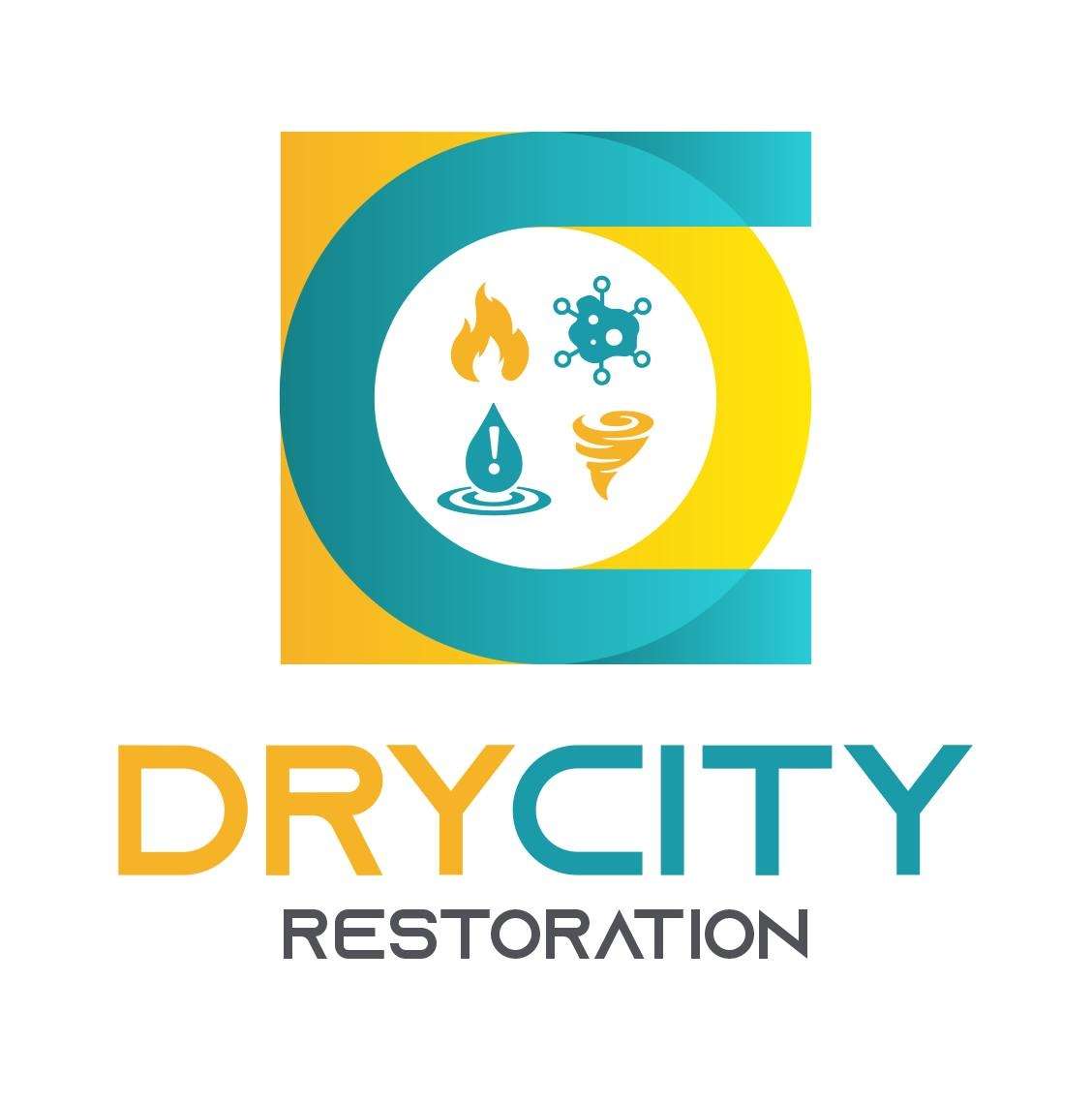 DryCity Restoration LLC  Logo