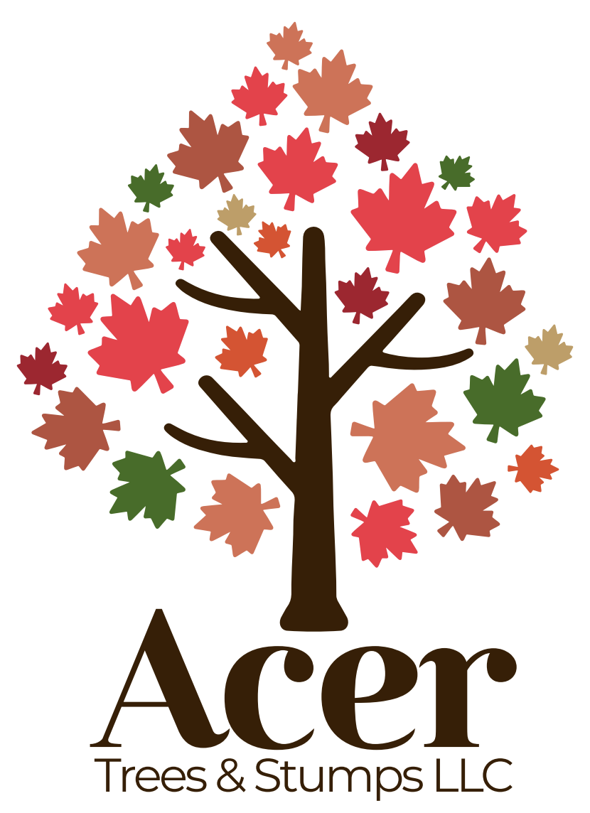Acer Trees & Stumps LLC Logo
