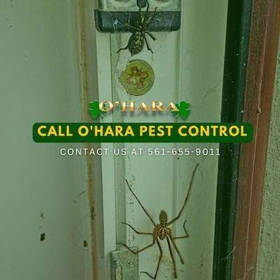 O'Hara Pest Control, Inc. Logo