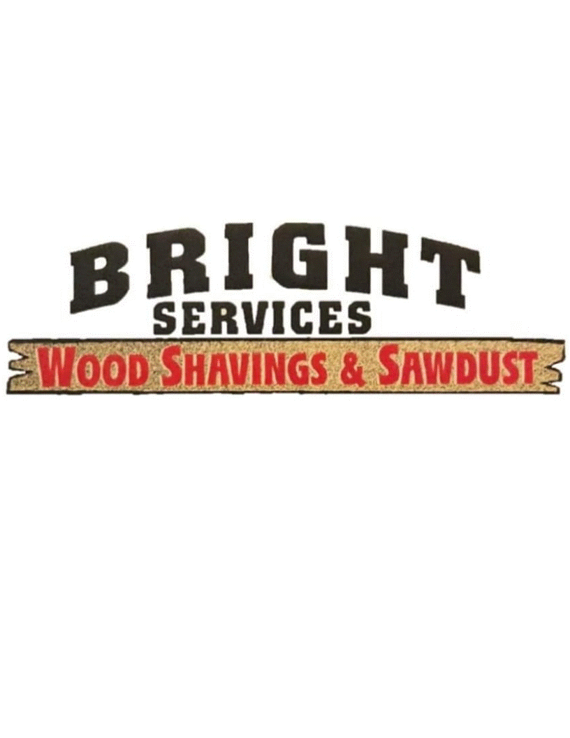 Bright Services Logo